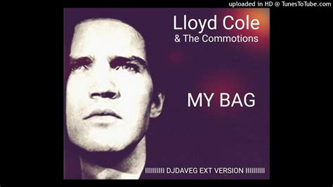 lloyd cole and the commotions my bag